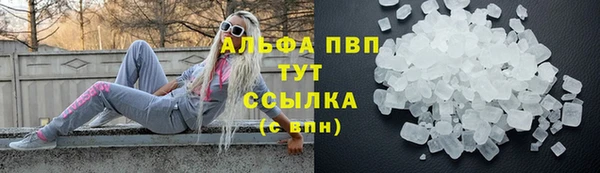 дживик Арсеньев