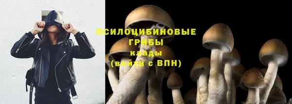 дживик Арсеньев