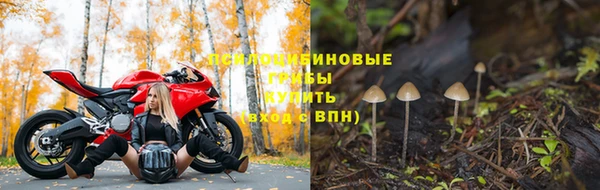 дживик Арсеньев