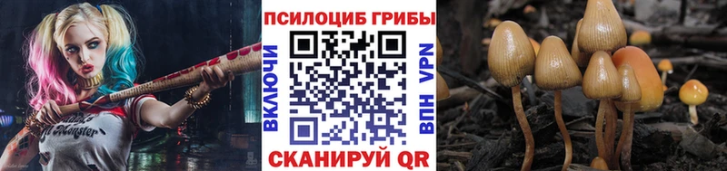 цена наркотик  mega как зайти  Псилоцибиновые грибы Magic Shrooms  Россошь 